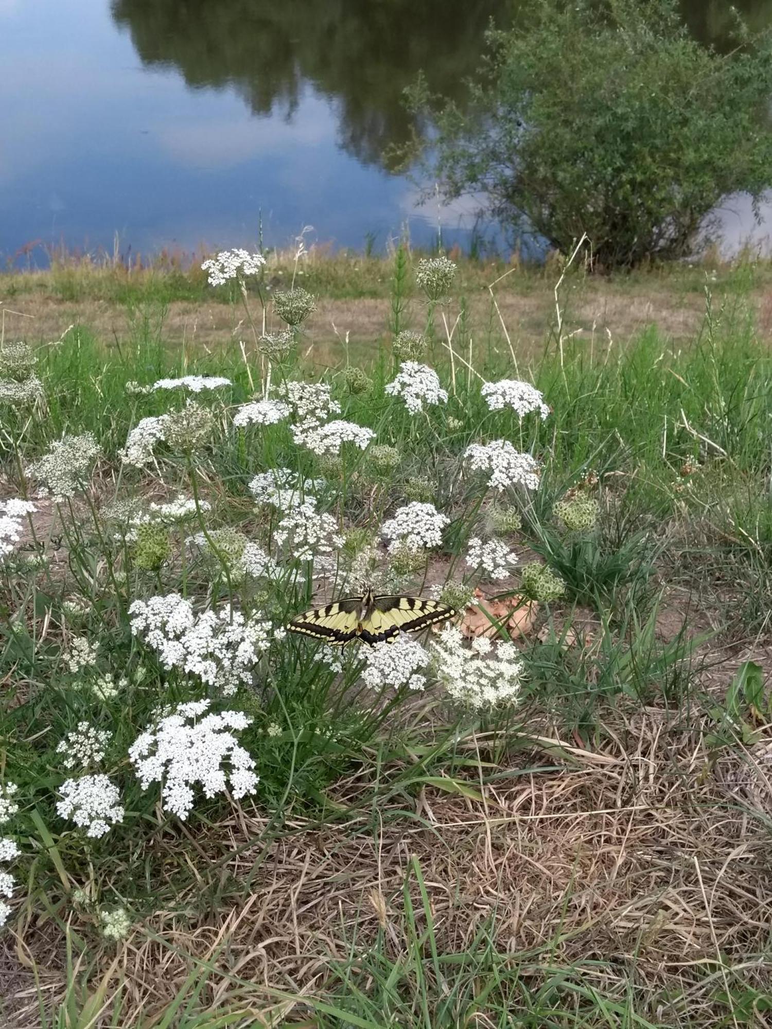 Kroetenhof Barfoerde Barforde Dış mekan fotoğraf